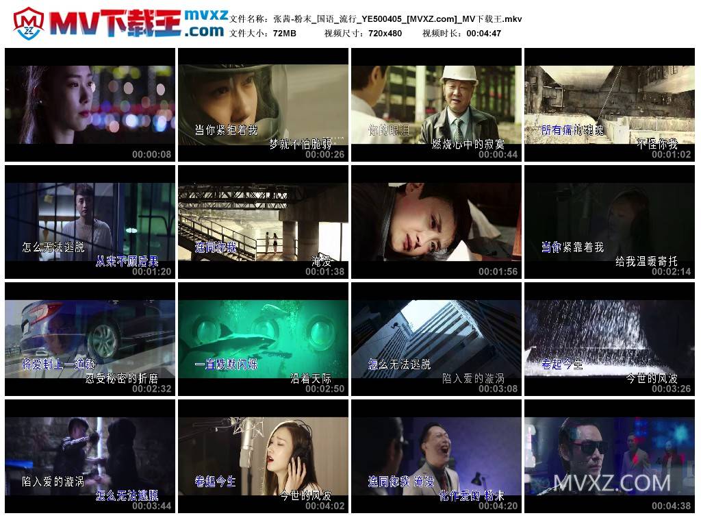 张茜-粉末_国语_流行_YE500405
